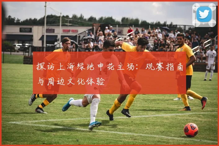 探访上海绿地申花主场：观赛指南与周边文化体验
